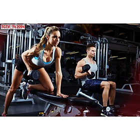 Mua Tranh dán tường 3d trang trí phòng gym - ép kim sa - có sẵn keo GY21