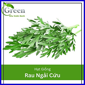 Hạt Giống Cây Ngải Cứu (50H)