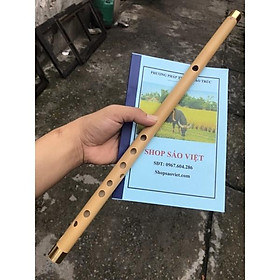 Mua sáo đô 10 lỗ (C5)