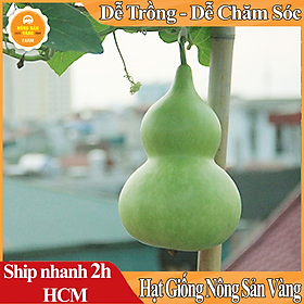 Hạt giống bầu hồ lô