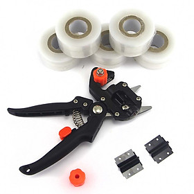 Mua Bộ dụng cụ ghép cây gồm kéo cắt ghép và 5 cuộn băng quấn mối ghép tự dính