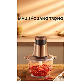 Mua Máy Xay Thực Phẩm Đa Năng Cao Cấp Dung Tích Lớn - Công suất 300W
