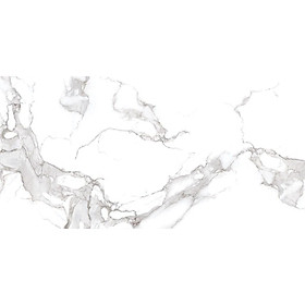 Mua GẠCH ỐP LÁT BỀ MẶT BÓNG BELLISSIMO EBL126M12 (60x120cm)