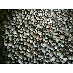 HẠT LÁNG GÀ DÀNH CHO CHIM,VẸT VÀ THÚ CƯNG