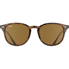 Kính Mát Unisex Rayban 4259F 710/73