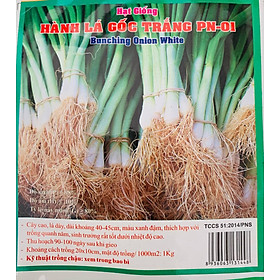 Mua Hạt giống hành lá
