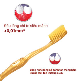 BÀN CHẢI ĐÁNH RĂNG CAO CẤP LIPZO RUBY GOLD