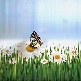 Decal trang trí kính cao cấp hoa bướm ( 60cm x 58cm )