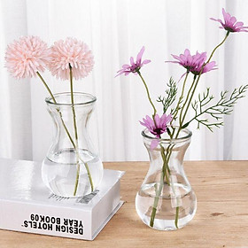 Mua Bình bông lọ hoa thủy tinh miệng loe tròn lùn trang trí decor  cắm hoa  trồng cây