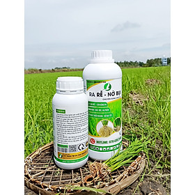 Mua PHÂN BÓN RA RỄ NỞ BỤI - 1 LÍT (Giúp lúa ra rễ nở bụi tốt  cứng cây)