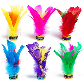Bộ 6 Quả Cầu Lông Đá RBirdsFly