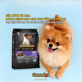Thức ăn Ganador cho chó con vị Sữa và DHA - Puppy Milk with DHA 400g - 3kg
