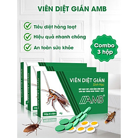 Combo 3 hộp viên diệt gián sinh học AMB, thuốc diệt gián Đức hiệu quả nhanh chóng, an toàn sức khỏe, hộp 8 viên