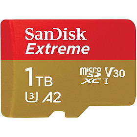 Mua Thẻ Nhớ MicroSDXC SanDisk Extreme V30 A2 1TB 190MB/s SDSQXAV-1T (New 2022) - Hàng Nhập Khẩu