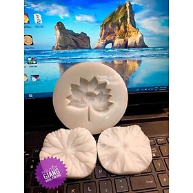 Mua khuôn silicon hoa sen và lá sen làm bánh tt và hoa đậu