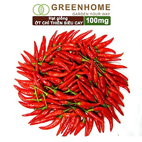 Mua Hạt Giống Ớt Chỉ Thiên Greenhome  Gói 1gr  Sai Trái  Siêu Cay  Dễ Trồng Quanh Năm  Nảy Mầm Cao  Thu Hoạch Nhanh G10