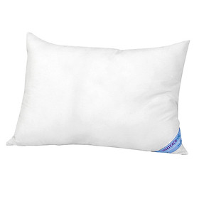 Mua Ruột Gối Nằm Thắng Lợi 40x60cm
