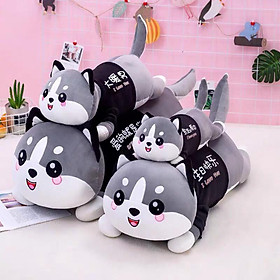 Gấu bông Husky ôm ngủ mèo cute đáng yêu cho bé size 120cm