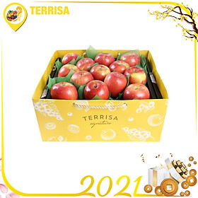 Hộp quà Tết TERRISA Signature Đoàn Viên 5 (Hộp 2.5 Kg - 13 Táo Fuji Mỹ)
