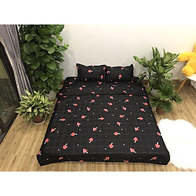 CHĂN HÈ THU ZD COTTON POLY KÍCH THƯỚC 1M8X2M MẪU MỚI - NẤM ĐỎ NỀN ĐEN