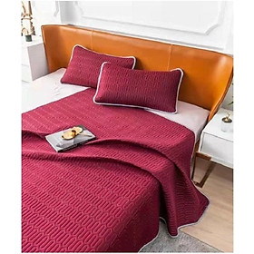 Chiếu điều hòa 1m6x2m, Chiếu điều hòa cao su non Tencel Latex, chiếu bốn mùa sang trong