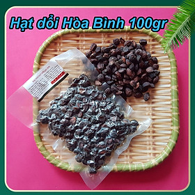 Mua Túi 100Gr hạt Dổi Lạc Sơn Hòa Bình gia vị Tây Bắc-Loại to