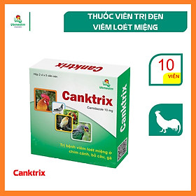 Vemedim Canktrix trị viêm loét miệng, nốt đỏ ở miệng và hầu họng ở chim cảnh, bồ câu, gà tây, hộp 10 viên
