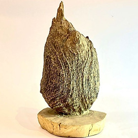 Mua Trầm Hương Cảnh