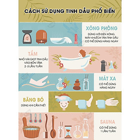 Tinh Dầu Cam Ngọt Kobi - Tinh Dầu Thiên Nhiên Nguyên Chất, Tinh Dầu Xông Phòng, Giúp Giảm Stress, Xua Đuổi Côn Trùng Và Khử Mùi Hiệu Quả, Thích Hợp Dùng Với Đèn Xông Và Máy Khuếch Tán Tinh Dầu