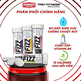 Viên sủi điện giải chống chuột rút Endurolytes Fizz Hammer Nutrition - Cung cấp bù khoáng cân bằng toàn diện (13 viên) - Mango