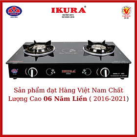 Mua Bếp Gas Đôi Mặt Kính Dễ Dàng Vệ Sinh - IV 6868 - Hàng Chính Hãng