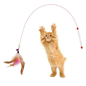 Cần câu mèo dây thép có chuông và lông vũ