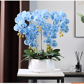 Hình ảnh Chậu hoa lan hồ điệp giả loại cao cấp xịn đẹp giống thật trang trí phòng khách, nhà hàng, khách sạn sang trọng CL-02