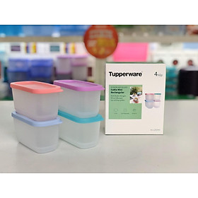 Mua Bộ hộp Mini Retangular Tupperware 250ml (4 hộp)