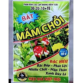 Mua Bật Mầm Chồi 60g. Kích Bật Chồi  Bật Lộc  Xanh Lá Khỏe Cây Dành Cho Hoa  Cây Cảnh