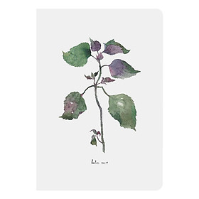 Sổ Tay Mini Balm Mint Monosketch (14 x 9 cm)