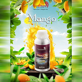 Tinh dầu Scent Homes - mùi hương (Mango)