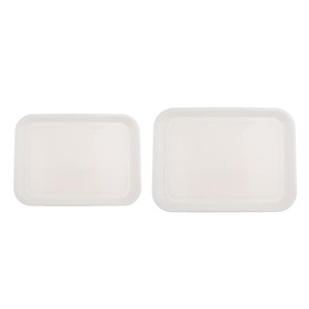 Set of 2 Serving Party Tray Plate Tableware BBQ Platter for Restaurant
