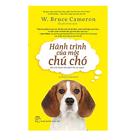 Hành Trình Của Một Chú Chó