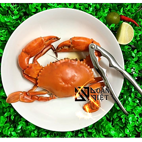 Dụng Cụ Kẹp CÀNG CUA GHẸ, Tách Vỏ Hạt Cứng - Inox Cao Cấp. Dụng cụ kềm kìm kẹp càng cua ghẹ phù hợp cho mọi GIA ĐÌNH, NHà Hàng, Quán Ăn