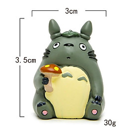 Mua Mô hình Totoro cầm cây nấm nhỏ dùng trang trí tiểu cảnh  terrarium  móc khóa  DIY