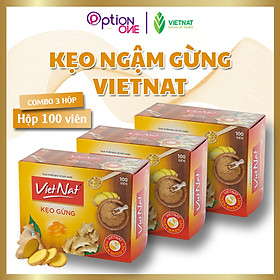 [COMBO 3 HỘP] Kẹo ngậm gừng Vietnat hỗ trợ tiêu hóa giảm cảm cúm - 100 viên/ hộp