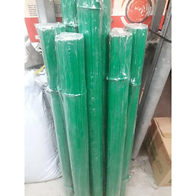Mua 1kg que cắm lan hồ điệp  phong lan đủ kích cỡ