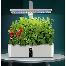 Mua Máy Trồng Cây Giúp Nảy Mầm Gốc Nhanh Tích Hợp Led UV Smart Cultivation