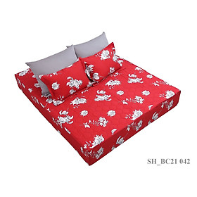 Bộ ga chun chần cotton sông hồng 200 cm x 220 cm