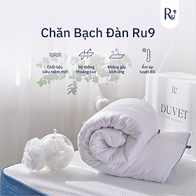 Mua Chăn Bạch Đàn - Eucalytus Duvet (EDUVET) Ru9 100% Từ Thiên Nhiên  Thoáng Mát  Khả Năng Kháng Khuẩn