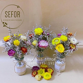 Mua Hoa bất tử khô ️ lọ hoa bất tử mix sao khô ️ lọ hoa decor quán cafe  trà sữa  nhà hàng...làm quà tặng