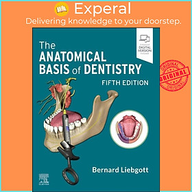 Ảnh bìa Sách - The Anatomical Basis of Dentistry by Bernard Liebgott (UK edition, paperback)