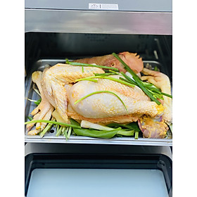 Mua Nồi Chiên Hơi Nước OLIVO SF-18. Hàng chính hãng