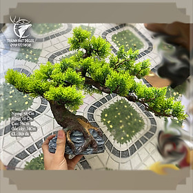 Mua Cây Tùng Bonsai Bằng Nhựa  size 48 Trang Trí Tiểu Cảnh  Trang Trí Kèm Các Mẫu Tượng Mini